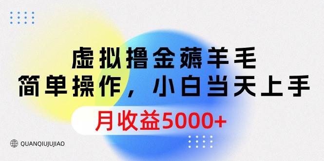 项目-虚拟撸金薅羊毛，简单操作，小白当天上手，月收益5000+骑士资源网(1)