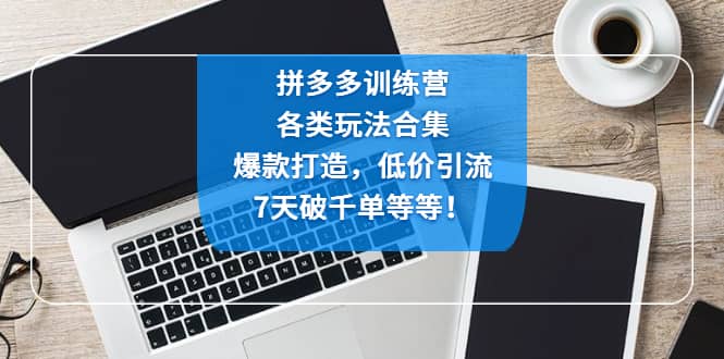 项目-拼多多训练营：各玩法合集，爆款打造，低价引流，7天破千单等等骑士资源网(1)