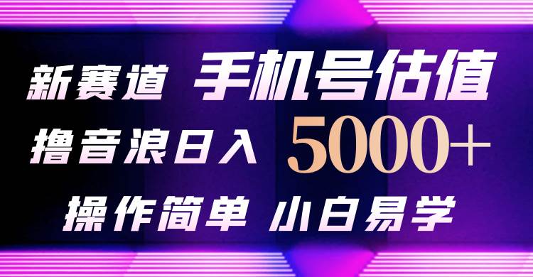 项目-抖音不出境直播【手机号估值】最新撸音浪，日入5000+，简单易学，适合&#8230;骑士资源网(1)