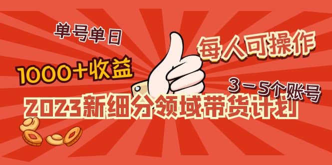 项目-2023新细分领域带货计划：单号单日1000 收益不难，每人可操作3-5个账号骑士资源网(1)