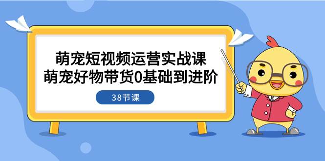 项目-萌宠·短视频运营实战课：萌宠好物带货0基础到进阶（38节课）骑士资源网(1)