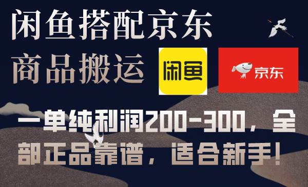 项目-闲鱼搭配京东备份库搬运，一单纯利润200-300，全部正品靠谱，适合新手！骑士资源网(1)