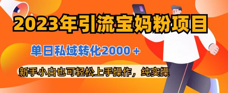 项目-2023年引流宝妈粉项目，单日私域转化2000＋，新手小白也可轻松上手操作，纯实操骑士资源网(1)