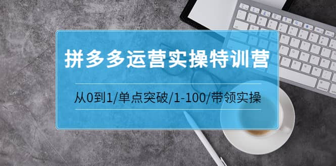 项目-青云:拼多多运营实操特训营：从0到1/单点突破/1-100/带领实操 价值2980元骑士资源网(1)