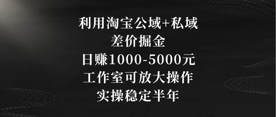 项目-利用淘宝公域+私域差价掘金，日赚1000-5000元，工作室可放大操作，实操&#8230;骑士资源网(1)