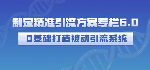 项目-制定精准引流方案专栏6.0，0基础打造被动引流系统骑士资源网(1)