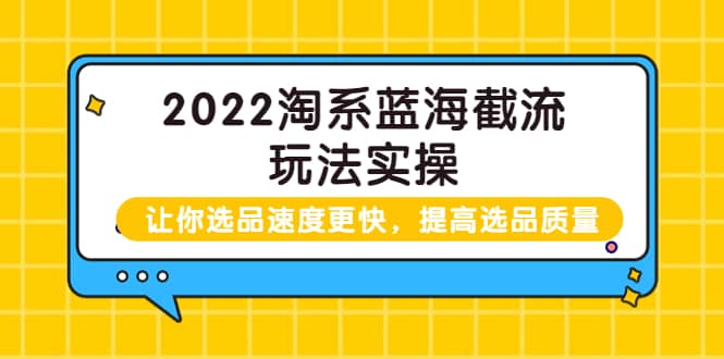 项目-2022淘系蓝海截流玩法实操：让你选品速度更快，提高选品质量（价值599）骑士资源网(1)