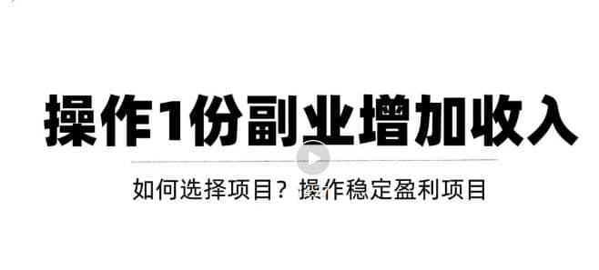 项目-新手如何通过操作副业增加收入，从项目选择到玩法分享！【视频教程】骑士资源网(1)