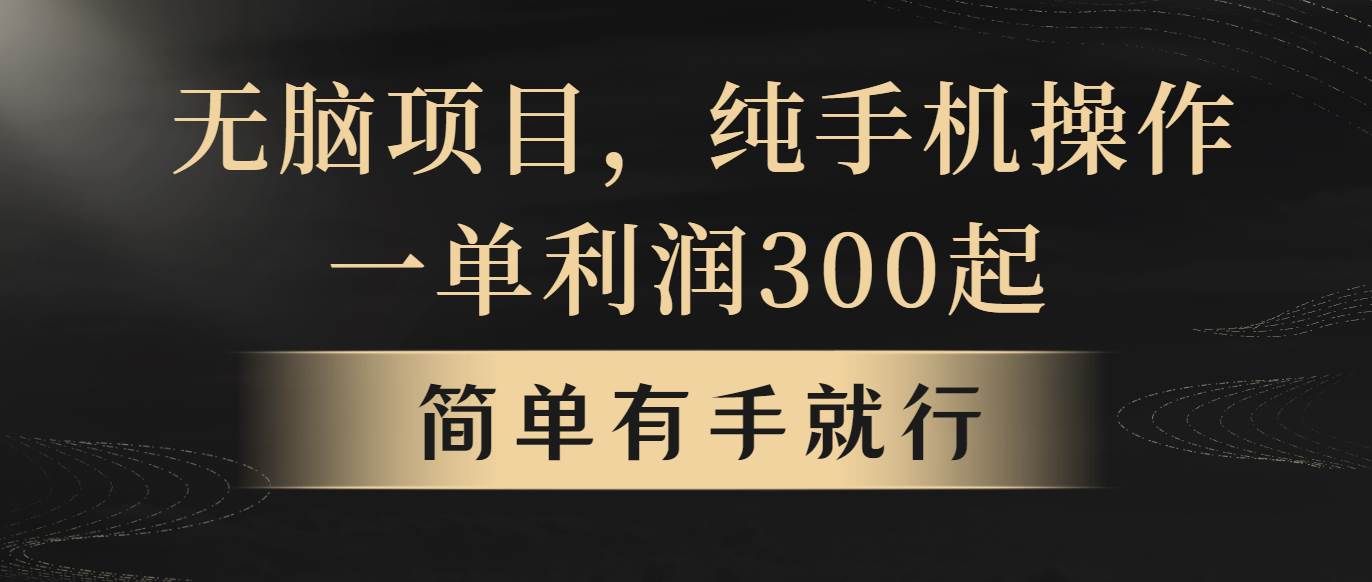 项目-无脑项目，一单几百块，轻松月入5w+，看完就能直接操作骑士资源网(1)