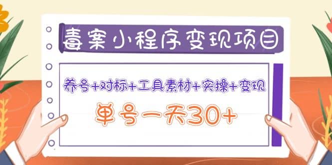 项目-毒案小程序变现项目：养号 对标 工具素材 实操 变现骑士资源网(1)