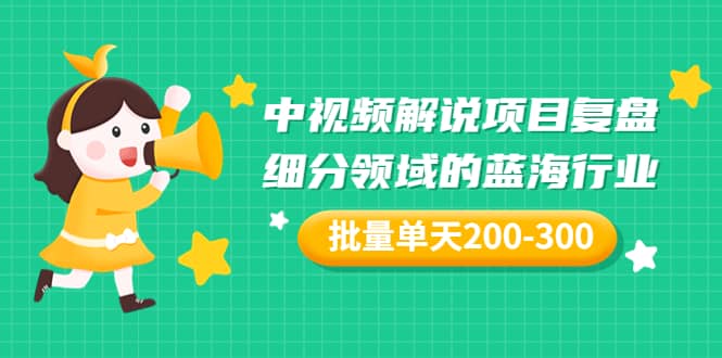 项目-某付费文章：中视频解说项目复盘：细分领域的蓝海行业 批量单天200-300收益骑士资源网(1)