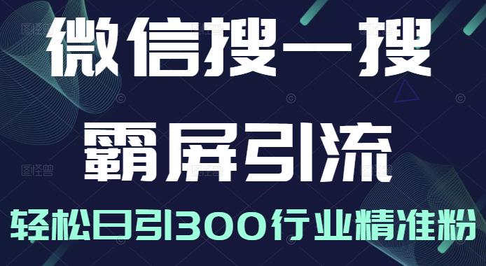 项目-微信搜一搜霸屏引流课，打造被动精准引流系统，轻松日引300行业精准粉【无水印】骑士资源网(1)