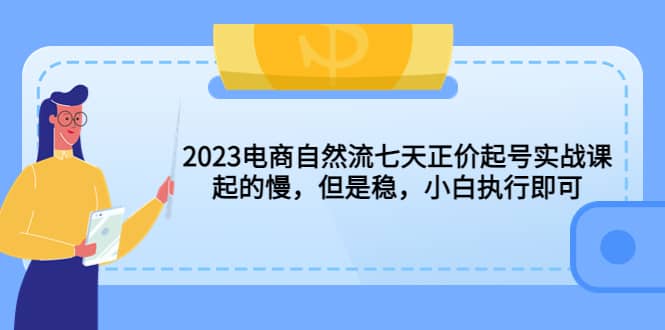 项目-2023电商自然流七天正价起号实战课：起的慢，但是稳，小白执行即可骑士资源网(1)