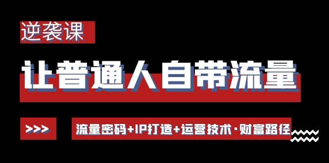 项目-让普通人自带流量的逆袭课：流量密码 IP打造 运营技术·财富路径骑士资源网(1)