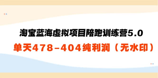 项目-黄岛主：淘宝蓝海虚拟项目陪跑训练营5.0：单天478纯利润（无水印）骑士资源网(1)