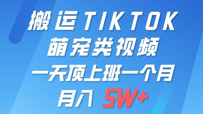 项目-一键搬运TIKTOK萌宠类视频 一部手机即可操作 所有平台均可发布 轻松月入5W+骑士资源网(1)