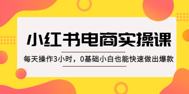 项目-小红书·电商实操课：每天操作3小时，0基础小白也能快速做出爆款骑士资源网(1)