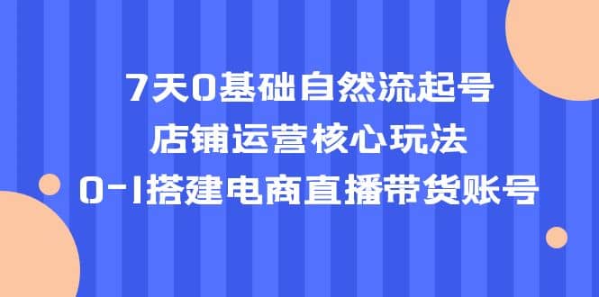 项目-7天0基础自然流起号，店铺运营核心玩法，0-1搭建电商直播带货账号骑士资源网(1)