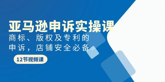 项目-亚马逊-申诉实战课，商标、版权及专利的申诉，店铺安全必备骑士资源网(1)