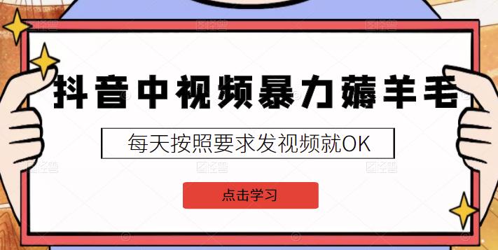 项目-2022抖音中视频暴力薅羊毛白嫖项目：新号每天20块，老号几天几百块，可多号骑士资源网(1)