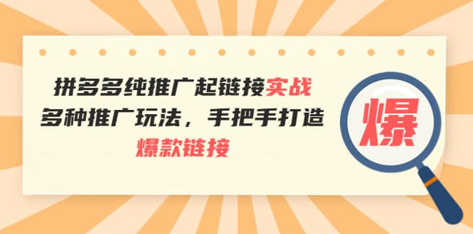 项目-拼多多纯推广起链接实战：多种推广玩法，手把手打造爆款链接骑士资源网(1)