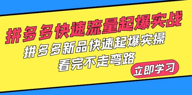 项目-拼多多-快速流量起爆实战，拼多多新品快速起爆实操，看完不走弯路骑士资源网(1)