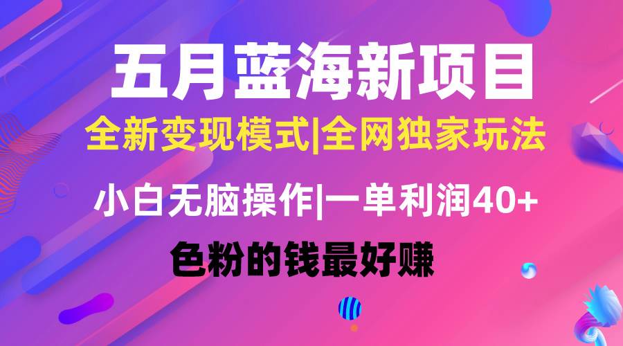 项目-五月蓝海项目全新玩法，小白无脑操作，一天几分钟，矩阵操作，月入4万+骑士资源网(1)