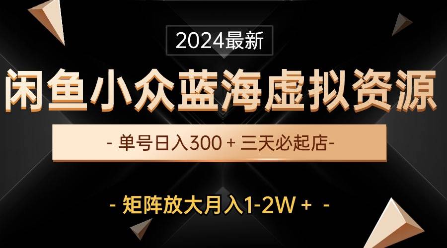 项目-最新闲鱼小众蓝海虚拟资源，单号日入300＋，三天必起店，矩阵放大月入1-2W骑士资源网(1)