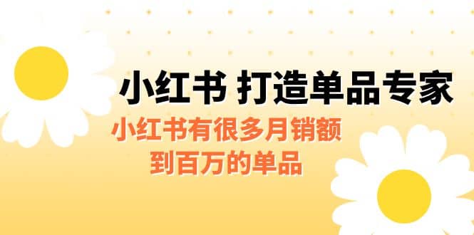 项目-某公众号付费文章《小红书 打造单品专家》小红书有很多月销额到百万的单品骑士资源网(1)