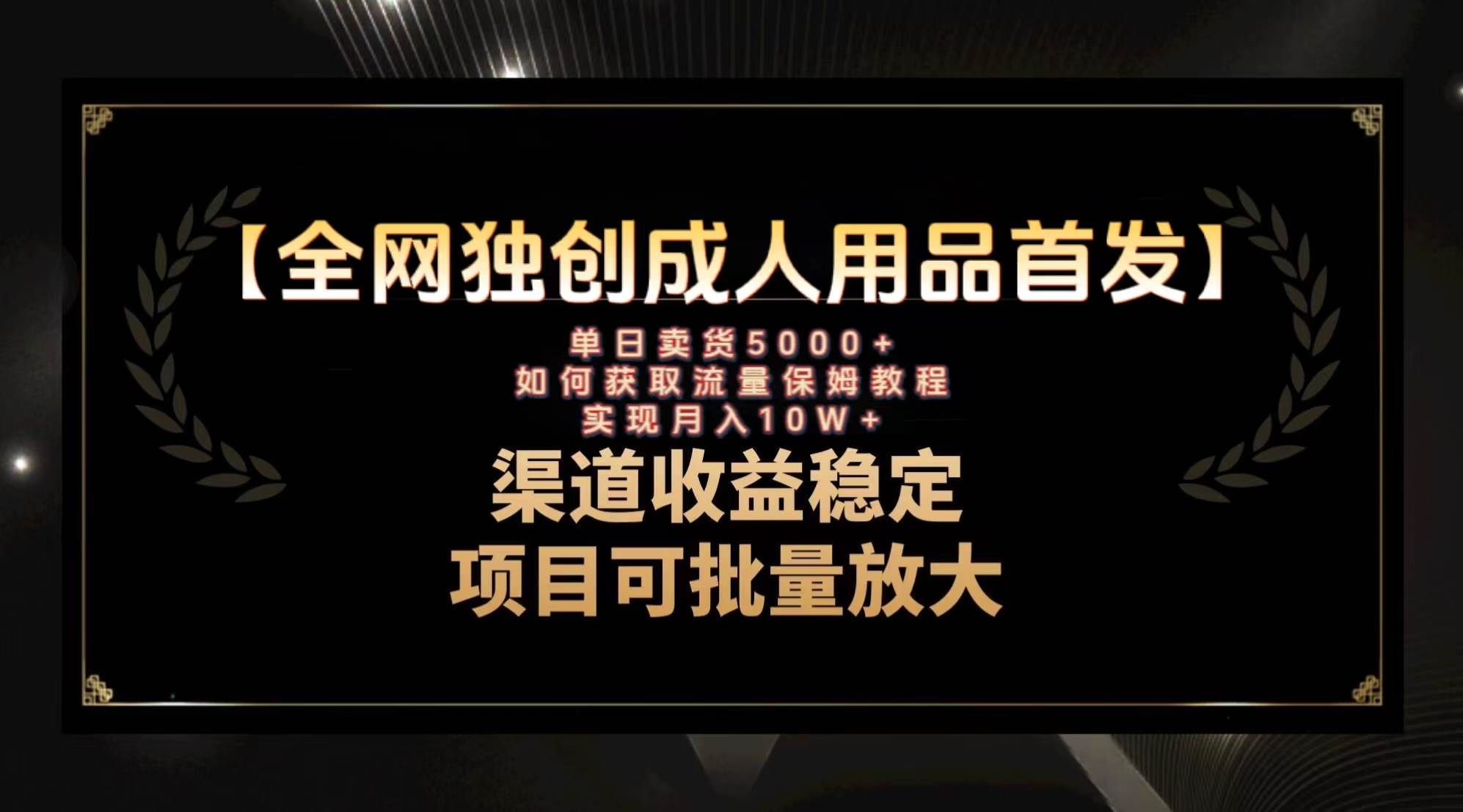 项目-最新全网独创首发，成人用品赛道引流获客，月入10w保姆级教程骑士资源网(1)