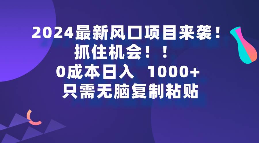 项目-2024最新风口项目来袭，抓住机会，0成本一部手机日入1000+，只需无脑复&#8230;骑士资源网(1)