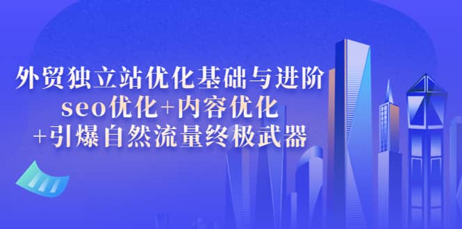 项目-外贸独立站优化基础与进阶，seo优化 内容优化 引爆自然流量终极武器骑士资源网(1)