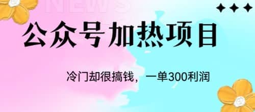 项目-冷门公众号加热项目，一单利润300骑士资源网(1)