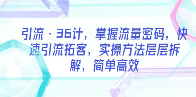 项目-引流·36计，掌握流量密码，快速引流拓客，实操方法层层拆解，简单高效骑士资源网(1)