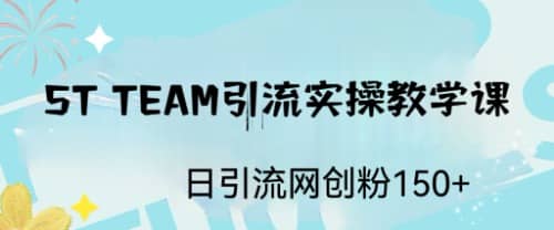 项目-ST TEAM引流实操课，日引流网创粉100骑士资源网(1)