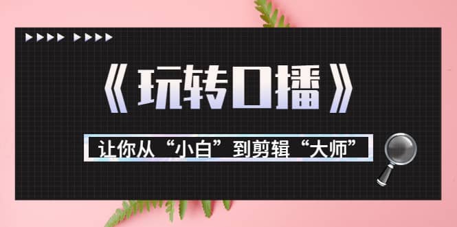 项目-月营业额700万 大佬教您《玩转口播》让你从“小白”到剪辑“大师”骑士资源网(1)