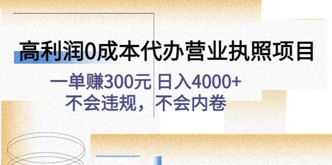 项目-高利润0成本代办营业执照项目：不会违规，不会内卷骑士资源网(1)