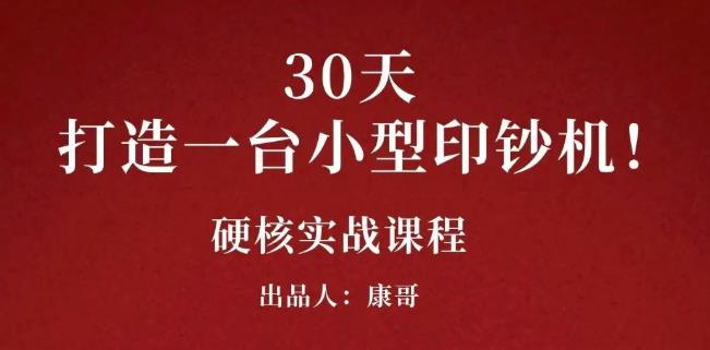 项目-康哥30天打造一台小型印钞机：躺赚30万的项目完整复盘（视频教程）骑士资源网(1)