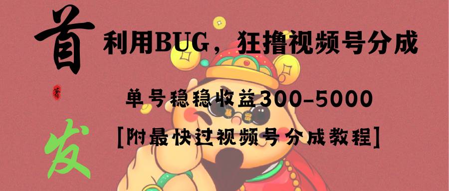 项目-全网独家首发，视频号BUG，超短期项目，单号每日净收益300-5000！骑士资源网(1)