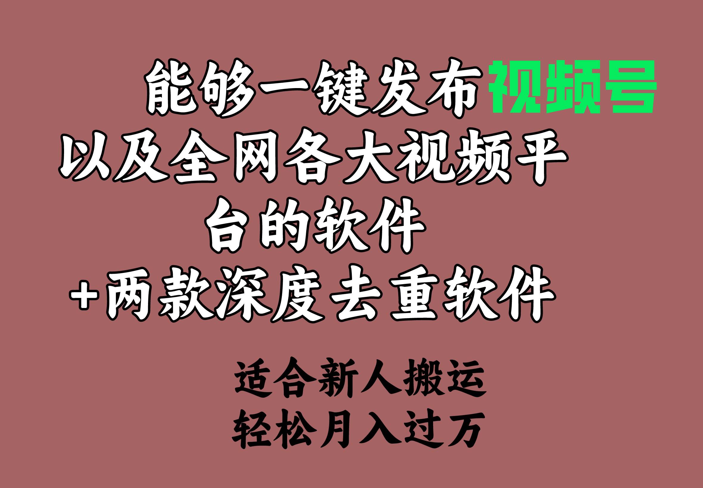 项目-能够一键发布视频号以及全网各大视频平台的软件+两款深度去重软件 适合&#8230;骑士资源网(1)