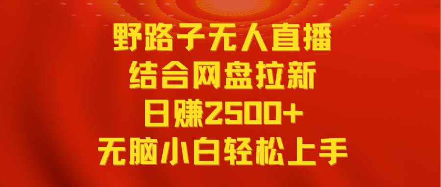 项目-无人直播野路子结合网盘拉新，日赚2500+多平台变现，小白无脑轻松上手操作骑士资源网(1)