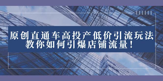 项目-2023直通车高投产低价引流玩法，教你如何引爆店铺流量！骑士资源网(1)