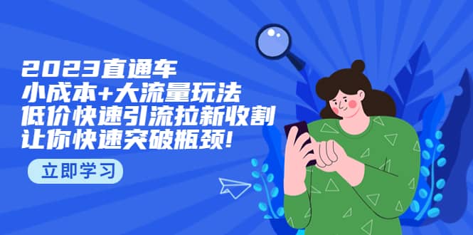 项目-2023直通小成本 大流量玩法，低价快速引流拉新收割，让你快速突破瓶颈骑士资源网(1)