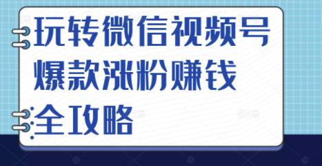 项目-玩转微信视频号爆款涨粉赚钱全攻略，让你快速抓住流量风口，收获红利财富骑士资源网(1)