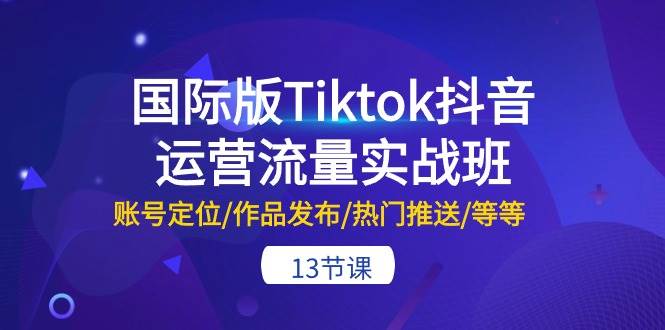 项目-国际版Tiktok抖音运营流量实战班：账号定位/作品发布/热门推送/等等-13节骑士资源网(1)