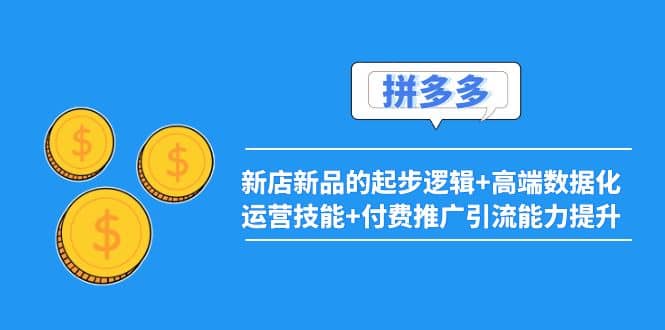 项目-2022拼多多：新店新品的起步逻辑 高端数据化运营技能 付费推广引流能力提升骑士资源网(1)