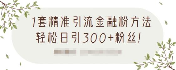 项目-1套精准引流金融粉方法，轻松日引300 粉丝【视频课程】骑士资源网(1)