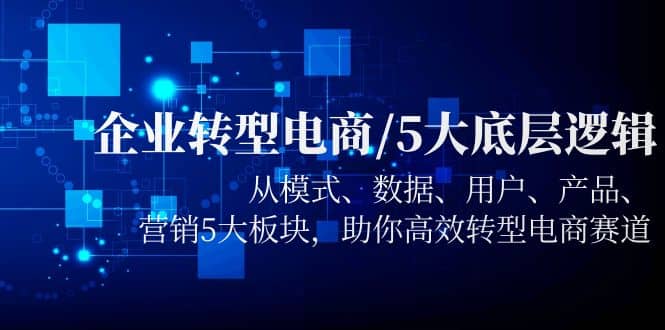 项目-企业转型电商/5大底层逻辑，从模式 数据 用户 产品 营销5大板块，高效转型骑士资源网(1)