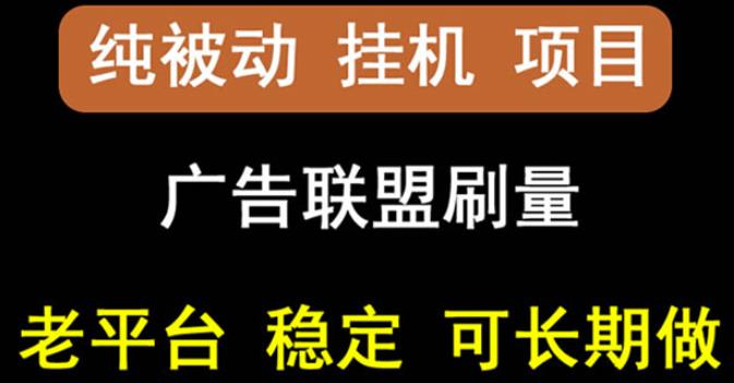 项目-【稳定挂机】oneptp出海广告联盟挂机项目，每天躺赚几块钱，多台批量多赚些骑士资源网(1)