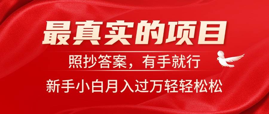 项目-最真实的项目，照抄答案，有手就行，新手小白月入过万轻轻松松骑士资源网(1)